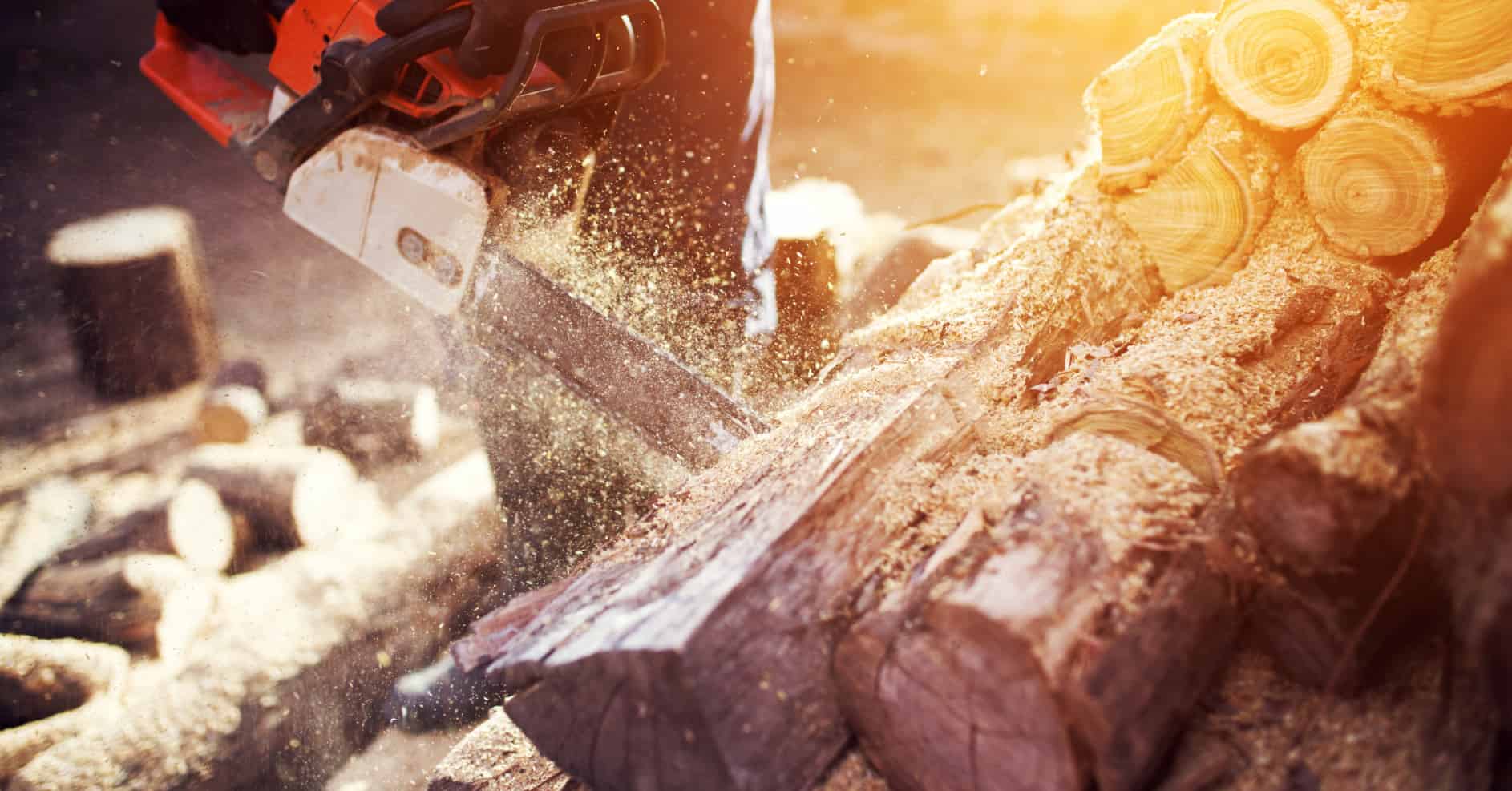 First Aid for Forestry, Tree Work & Chainsaw Operations